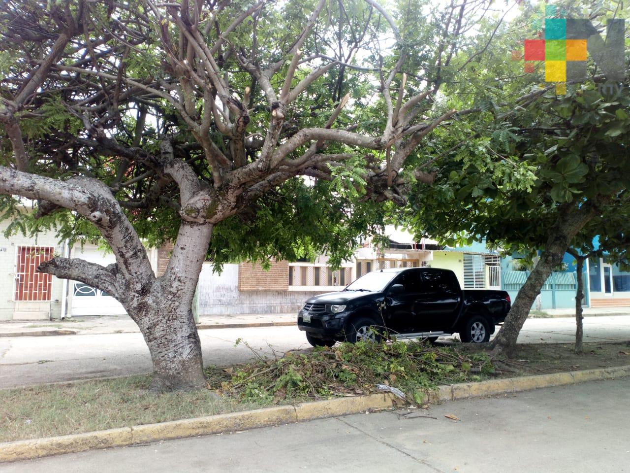 Piden a municipio levantar ramas y hojas de árboles podados fuera de escuela, en Coatzacoalcos