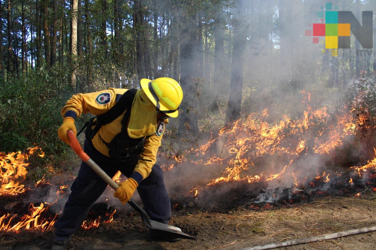 Capacita Sedema a municipios del sur en combate de incendios forestales