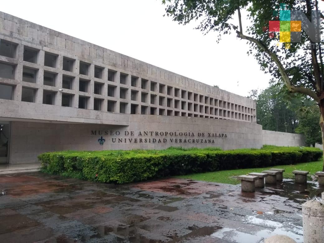 Museo de Antropología de Xalapa trabaja en nueva museografía