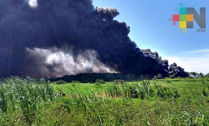 En el sur de Veracruz, cinco municipios son los más afectados por incendios