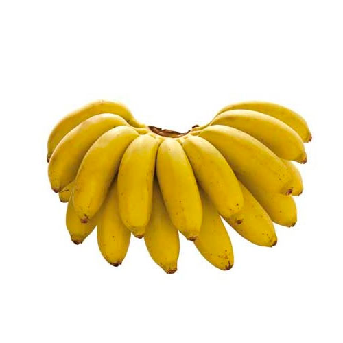 Precio bajo de plátano dominico por sobreproducción