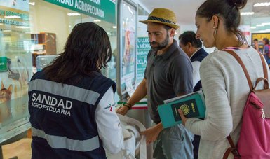 Aplica Sagarpa “Estrategia Rusia 2018” para reducir riesgos sanitarios