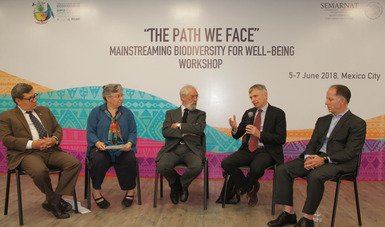 Organismos internacionales reconocen a México por Ley Forestal