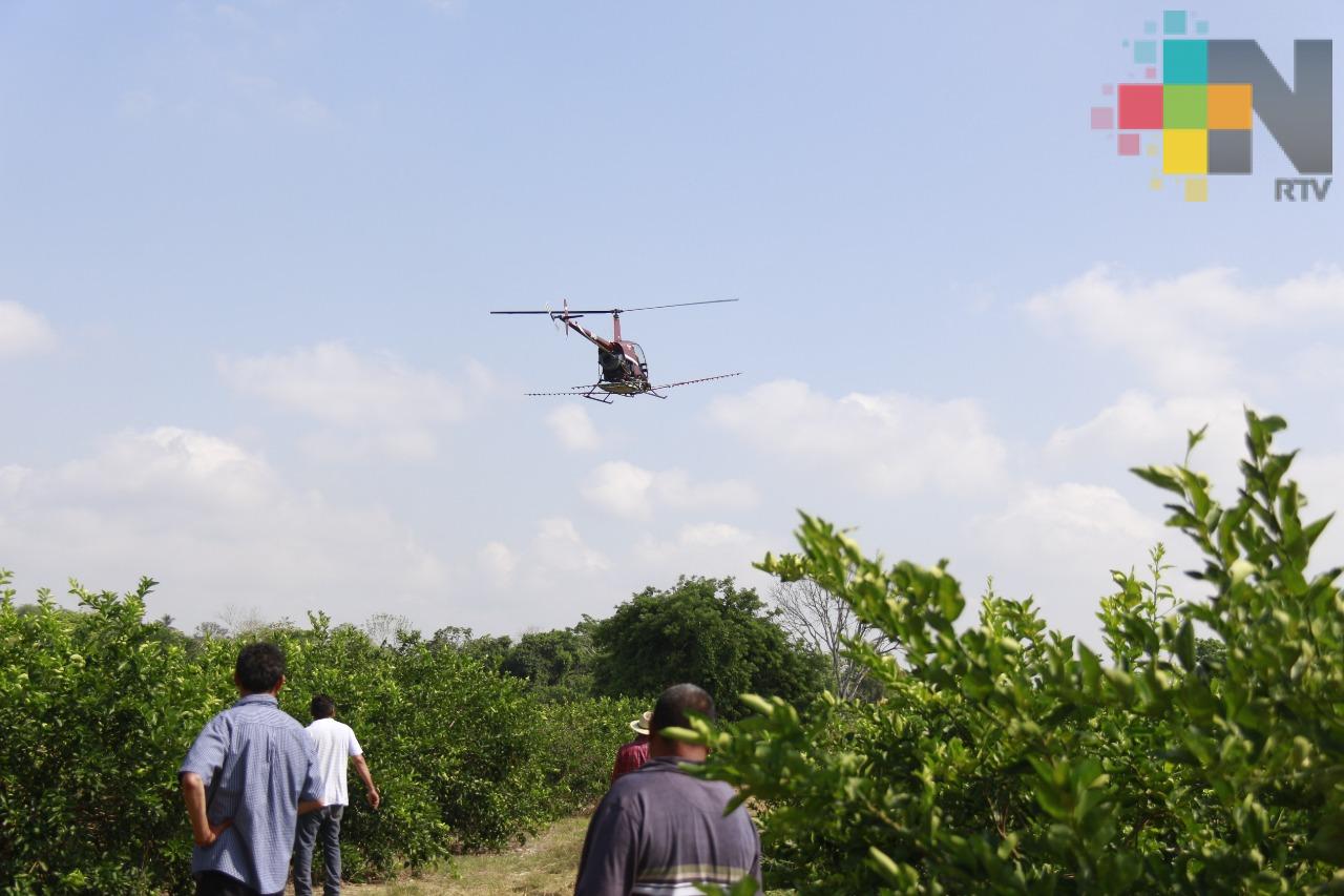 Realizan prueba piloto de fumigación en parcela de Martínez de la Torre
