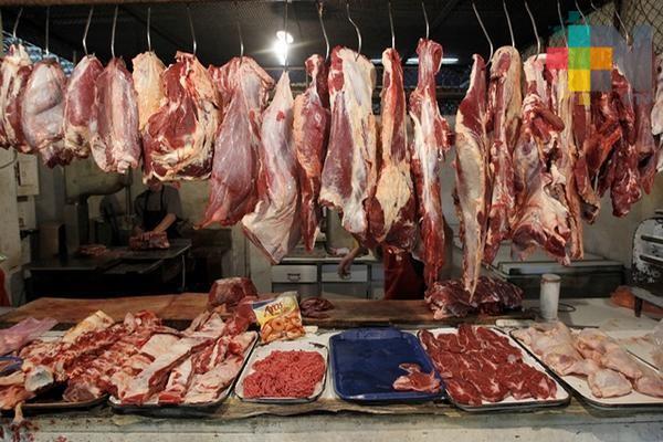 Inspeccionan establecimientos de venta de carne, en Tantoyuca