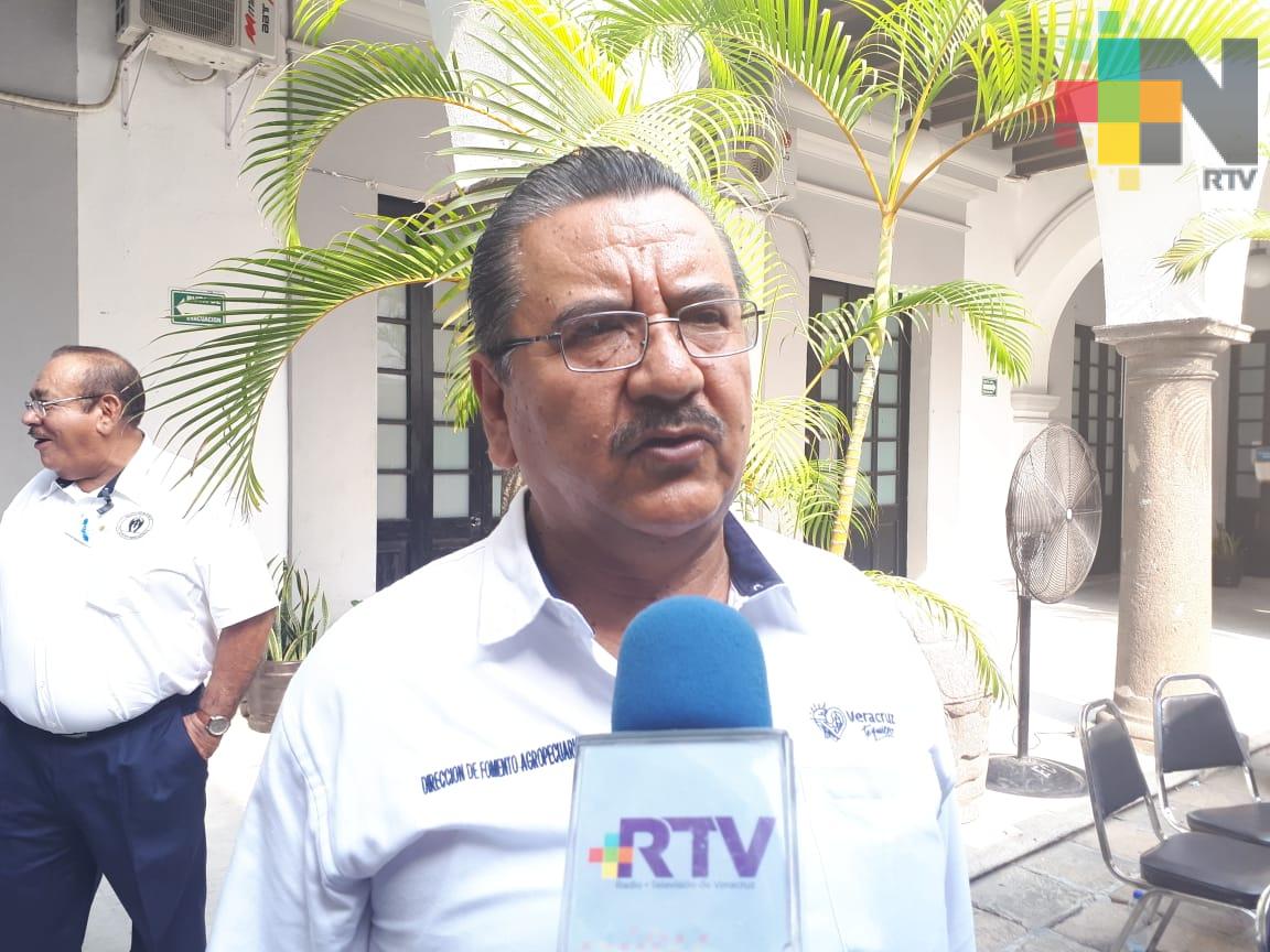 Ayuntamiento de Veracruz entrega sacos de semilla a productores de ejidos de la zona rural