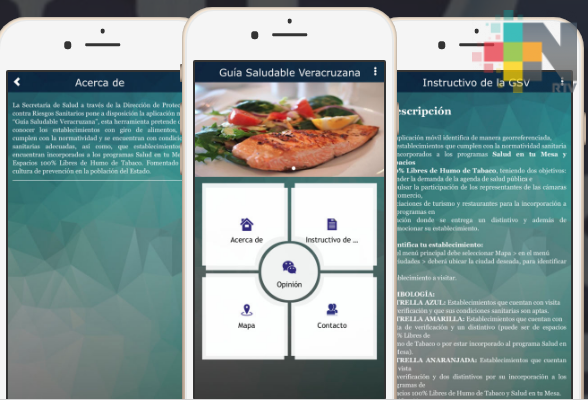 «Guía Saludable Veracruzana», app para cuidar la salud