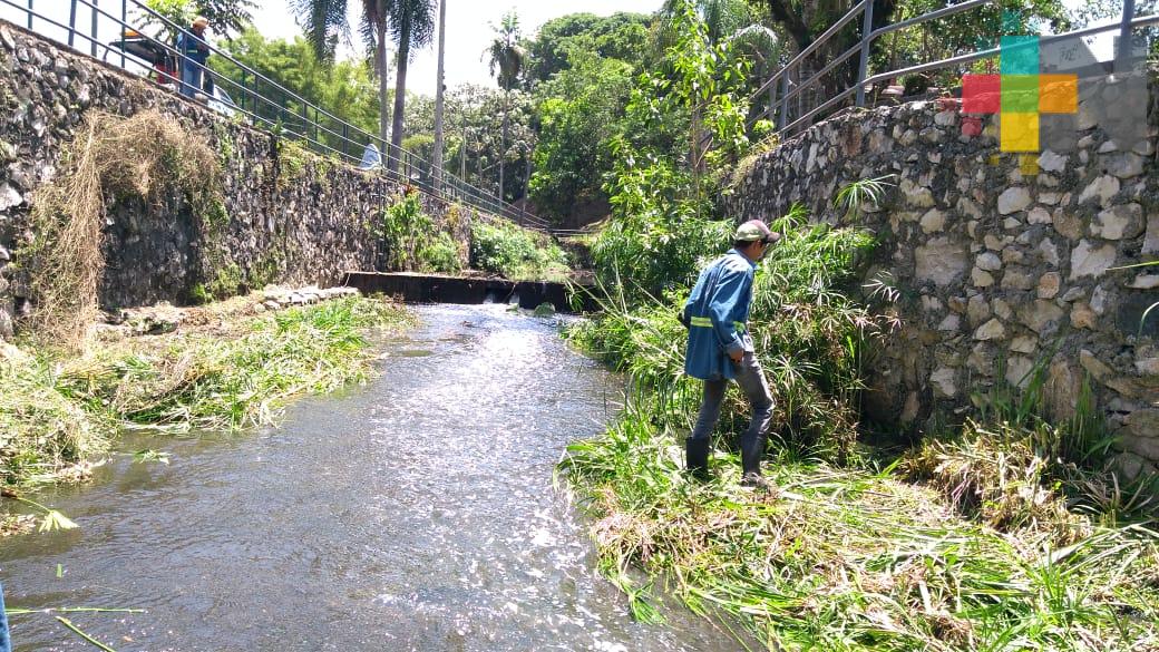 Realizan labores de limpieza en el Paseo del Río San Antonio en Córdoba