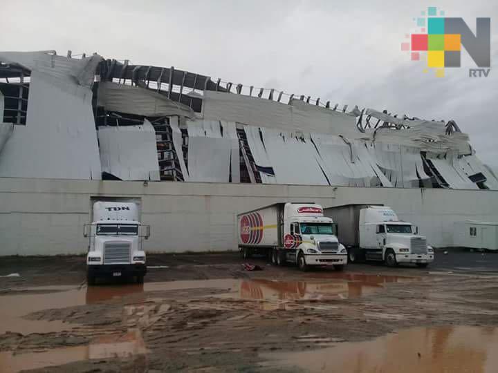 Viviendas afectadas, árboles caídos y tres lesionados, saldo que dejó tornado en Coatzacoalcos
