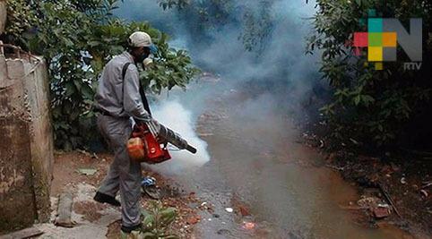 Durante temporada invernal continuarán fumigaciones en municipio de Veracruz