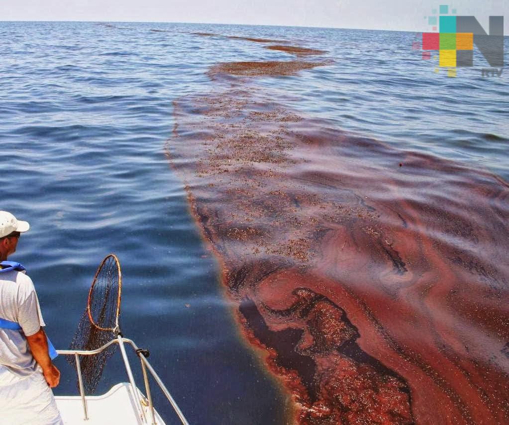 Continúan trabajos de limpieza por derrame de hidrocarburo en plataforma «Marsopa»