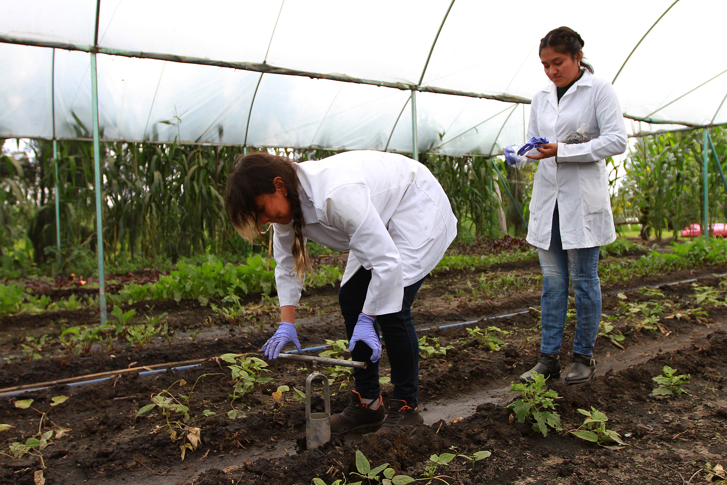 Xochimilco, un tesoro viviente prehispánico que hay que rescatar