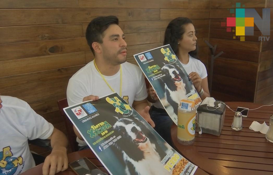 Campaña «Gua Gua Ton 2018» recauda fondos para Amigos de los Animales