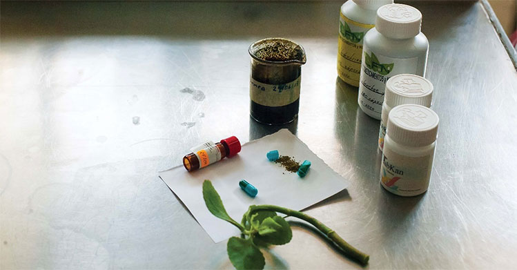 Comprueban en el IPN potencial de la «Belladona» contra el cáncer de próstata