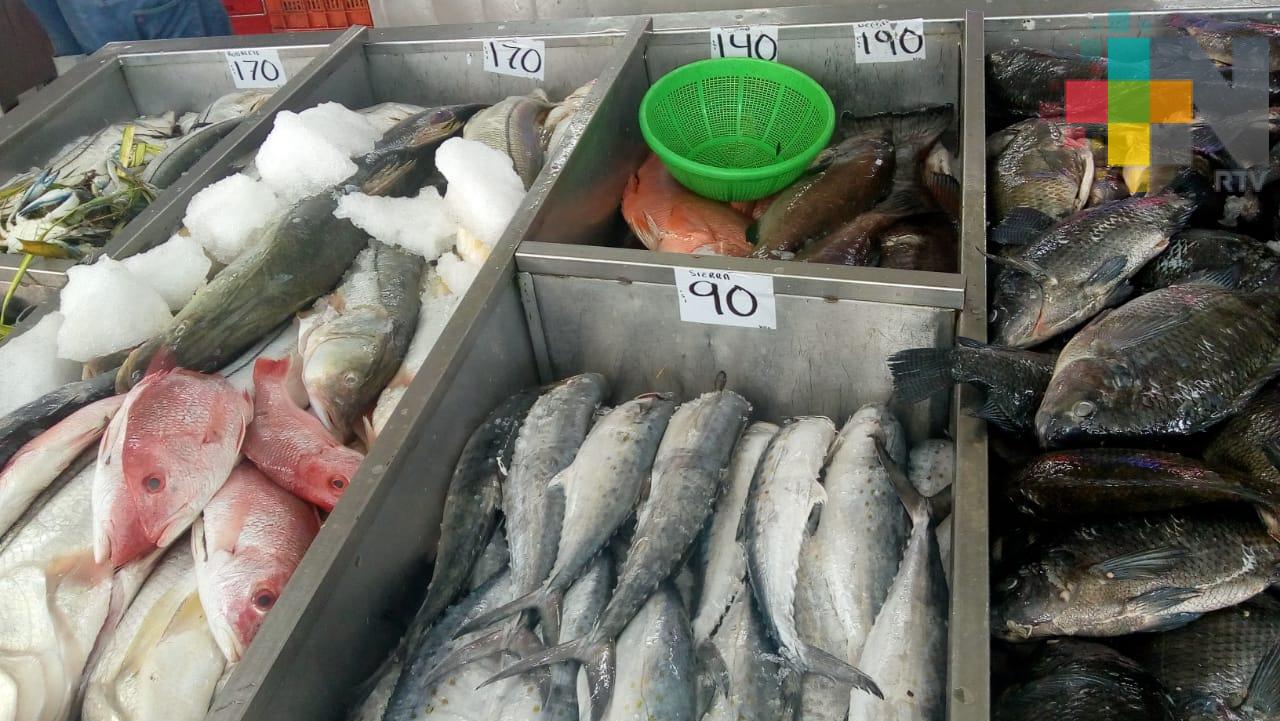Ventas de pescado registran repunte de cien por ciento en Veracruz puerto