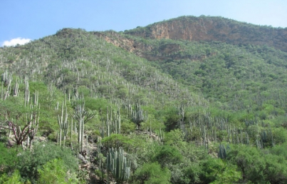 UNESCO inscribe al Valle de Tehuacán-Cuicatlán como Patrimonio Mundial