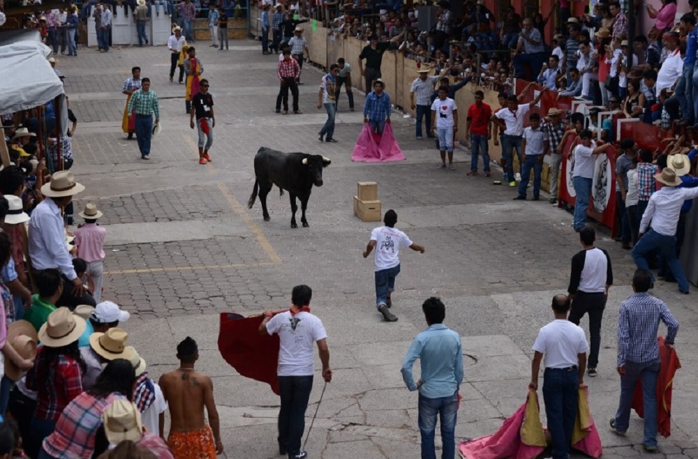 Descartan suspender en un futuro la Xiqueñada y corrida de toros en Veracruz