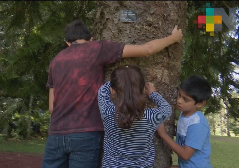 Abrazar un árbol, una actividad que ayuda a la salud