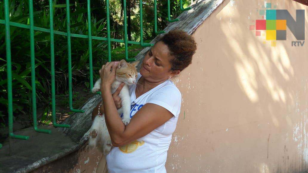 Vecinos de nuevo abandonan gatos en Parque Ecológico de Veracruz