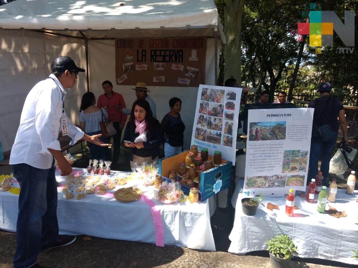 Realizan jornadas deportivas y culturales en Parque Bicentenario de Xalapa