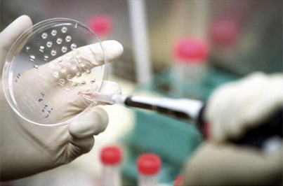 Desarrollaron terapia génica que funciona contra la fibrosis hepática