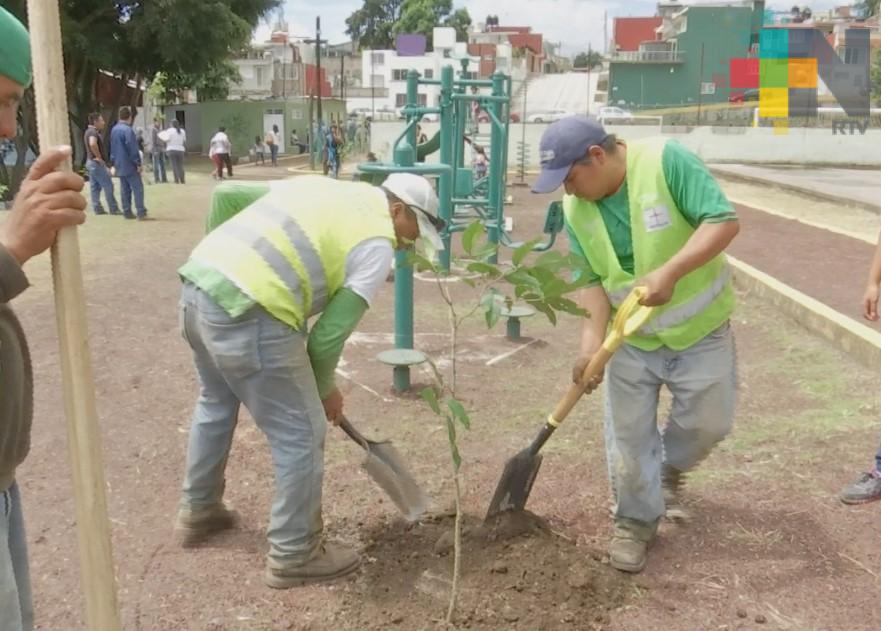 Alcalde de Xalapa supervisa actividades de la semana el Día del Árbol