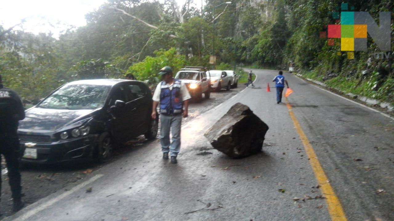 Cae roca y golpea a vehículo, en Teocelo
