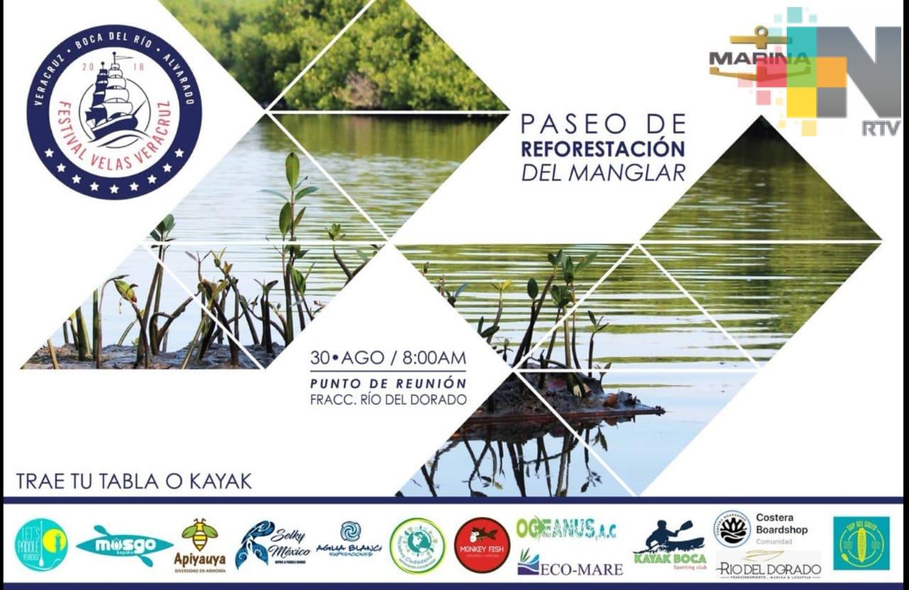 En estero de Mandinga sembrarán 500 plantas de mangle rojo