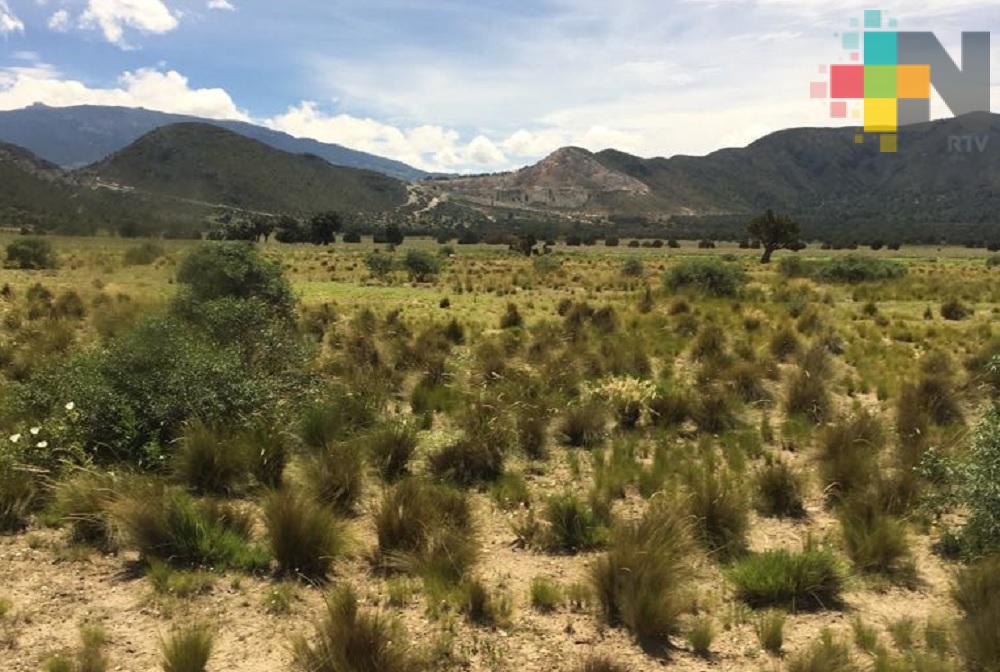 CONANP preparada ante incendios forestales Cofre de Perote y Pico de Orizaba