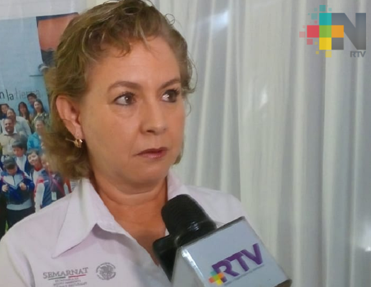 Veracruz tiene primeros lugares en materia de divulgación forestal