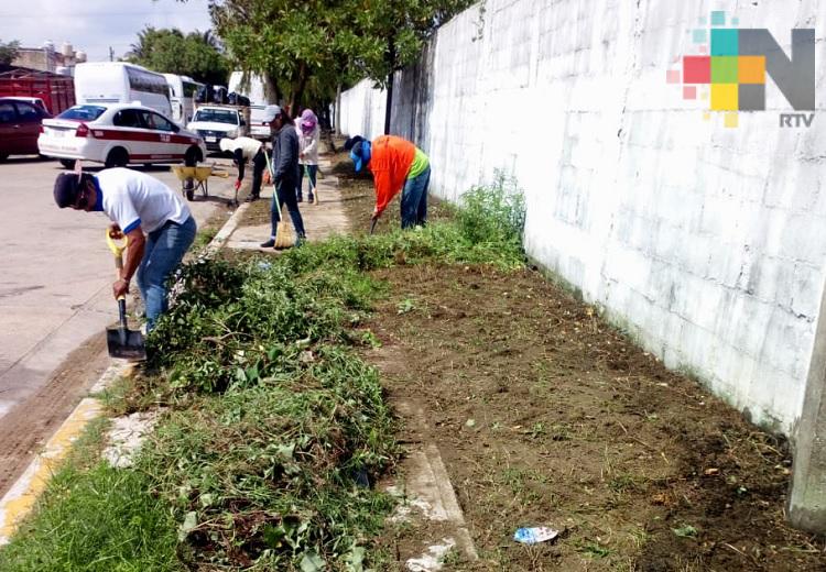 En el sur de Veracruz realizan limpieza y desazolve de canales a cielo abierto