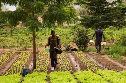 Huertos urbanos luchan contra el avance del cemento en Mali