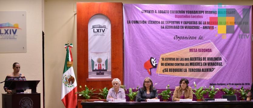 Crearían una Comisión que dé seguimiento a las Alertas de Violencia de Género