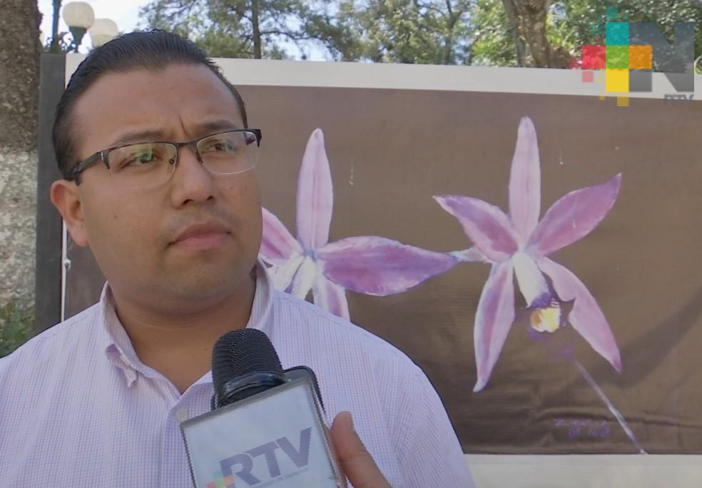 Buscan hacer conciencia de la venta ilegal de orquídea, en Coatepec
