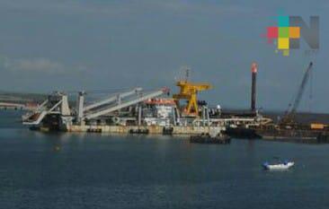 Muere buza en nuevo puerto de Veracruz