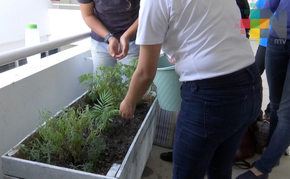 UV impulsa la Red de Huertos Universitarios en Facultad de Pedagogía