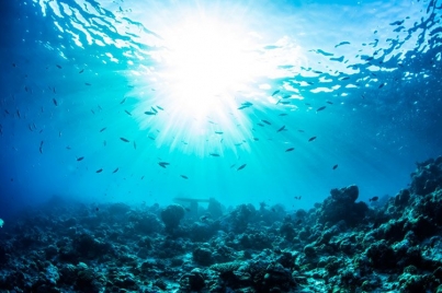 Determinantes las aguas marinas para mitigar el cambio climático
