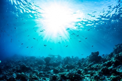 Estudiantes universitarios desarrollan tecnologías marinas