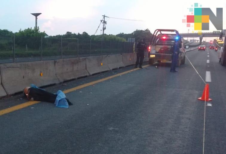 Muere atropellado en la autopista Veracruz-Cardel 