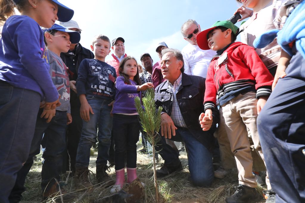 Participa el gobernador Yunes Linares en la jornada de reforestación «Más pulmones para Veracruz»