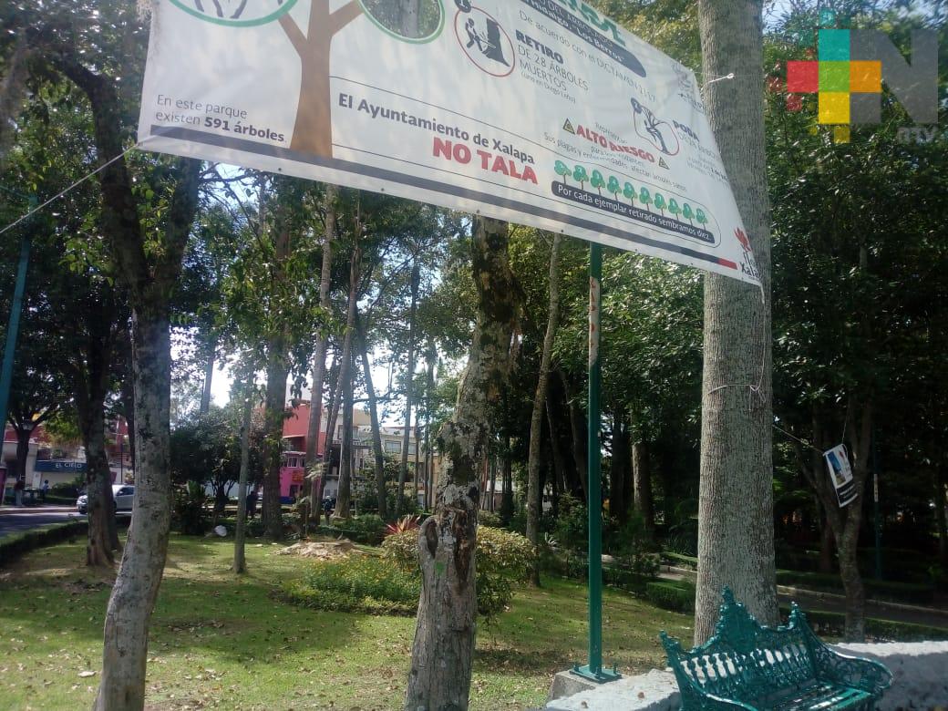 Identifican árboles sanos y enfermos en Xalapa