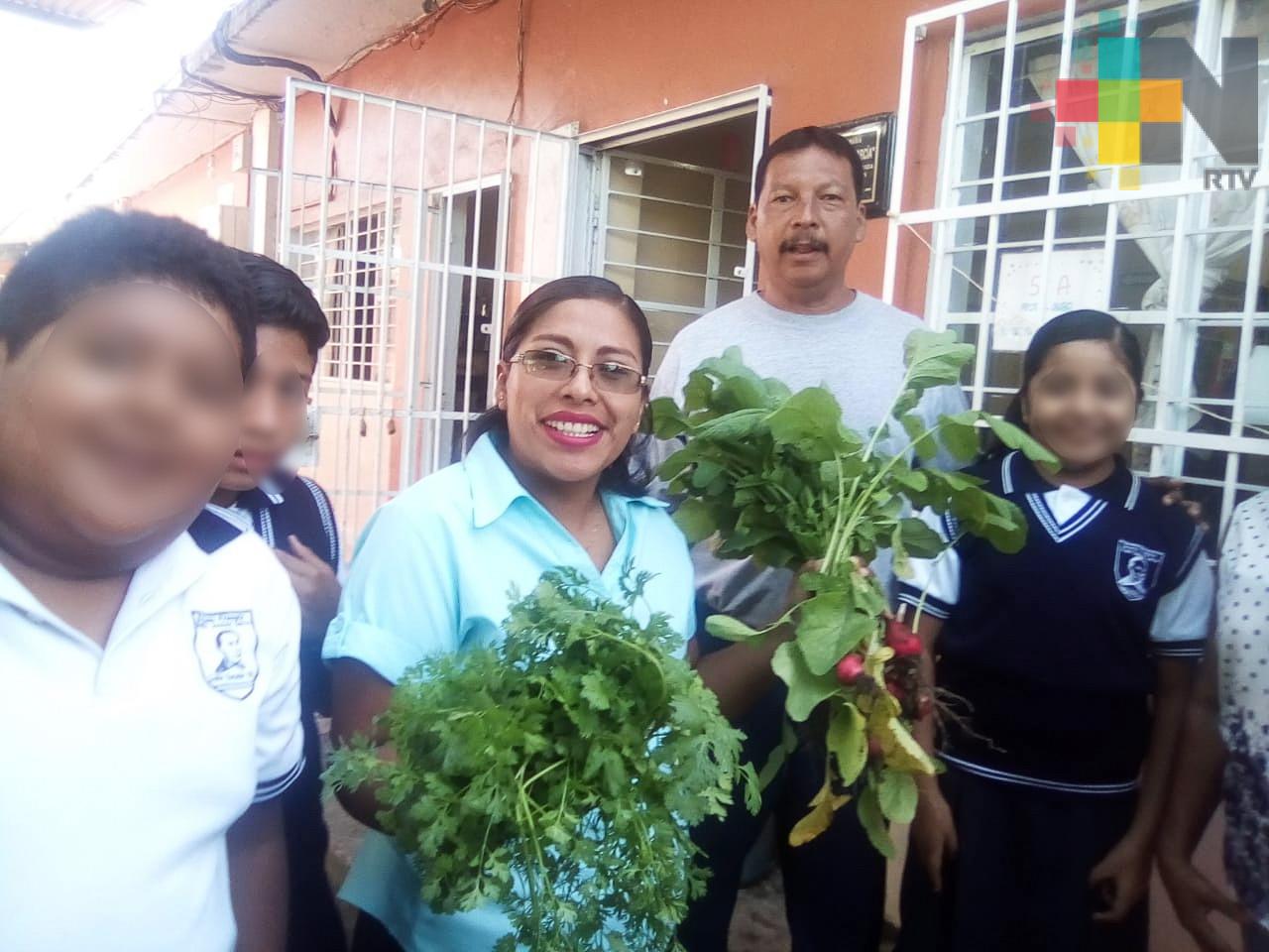 Promueve DIF Córdoba taller de elaboración de hortalizas gratuito