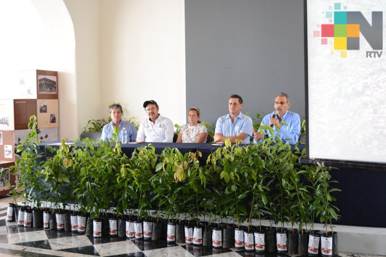 Entregan 200 plantas de canela a 60 mujeres del municipio de Córdoba