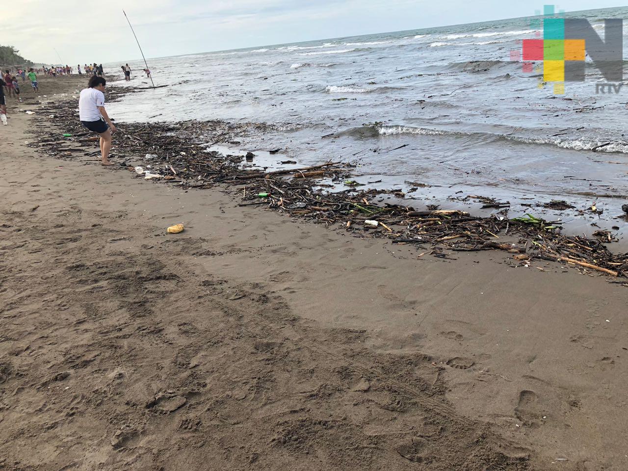 Toneladas de basura y palizada cubren las playas de Costa Esmeralda