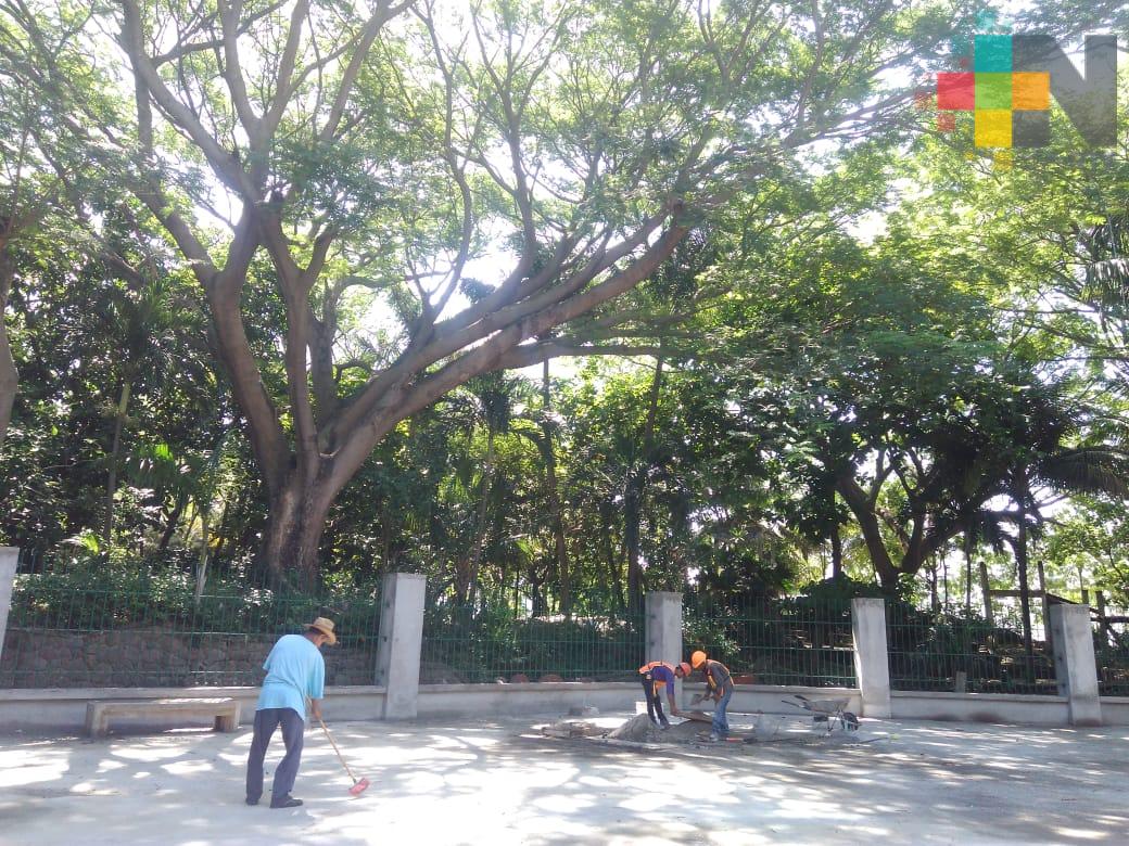 Planean para el 2019 una playa inclusiva en el municipio de Veracruz