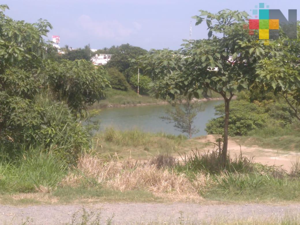 Inicia rescate de lagunas del municipio de Veracruz