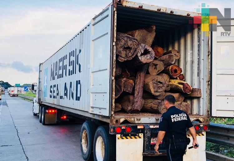 Aseguran camión con madera en carretera Nuevo Teapa-Cosoleacaque