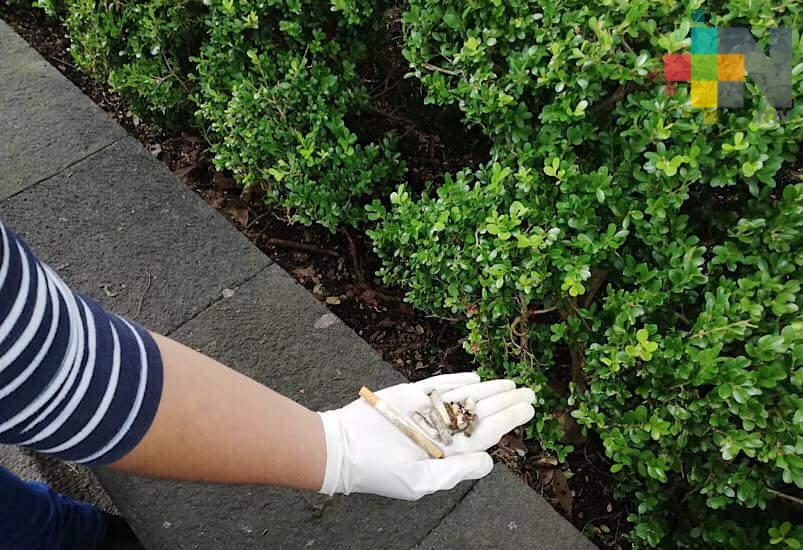 Colillas de cigarro contaminan más que popotes