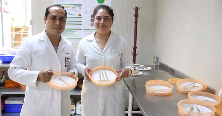 Desarrolla IPN cubiertos comestibles