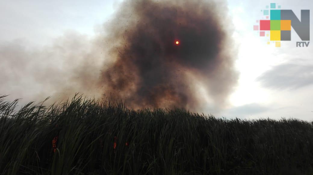 Se propaga incendio de pastizal en Nautla; preocupa a habitantes